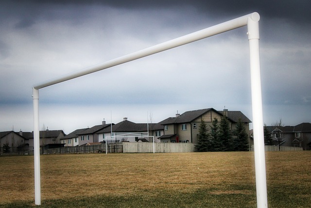 这一转会动 这一转会动