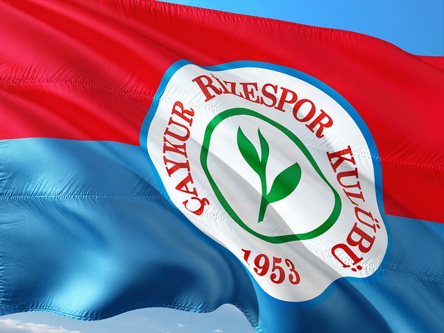 韦军委员常 韦军委员常