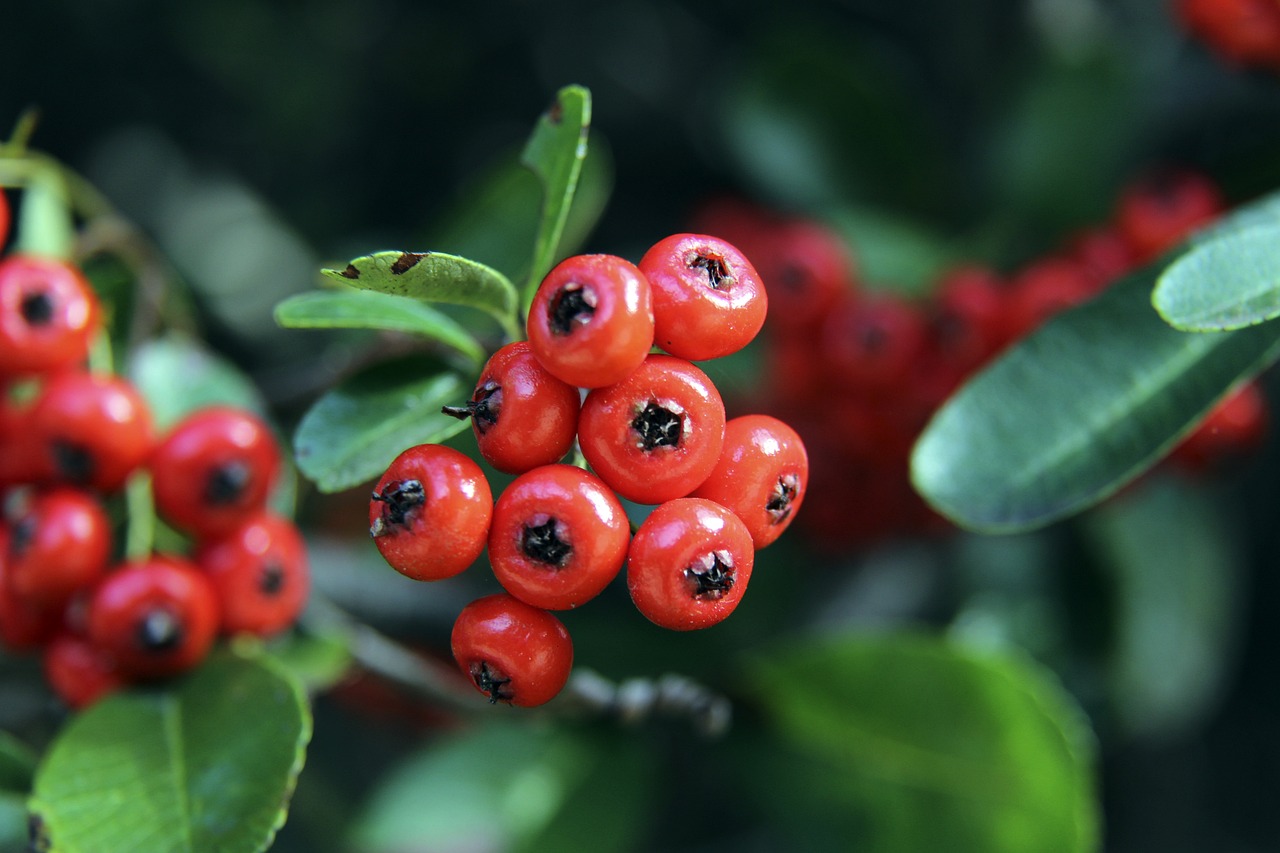 隊合作和核 隊合作和核