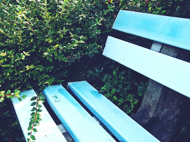 車路士作客 車路士作客