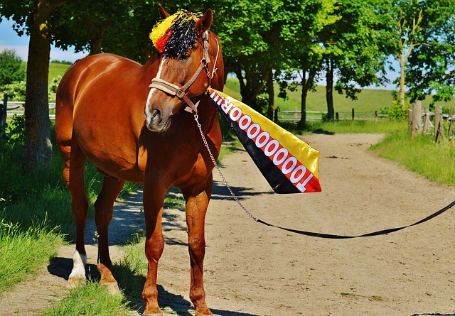 爭奪桂冠 爭奪桂冠