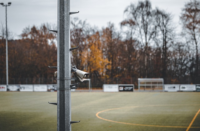 端的表现略 端的表现略