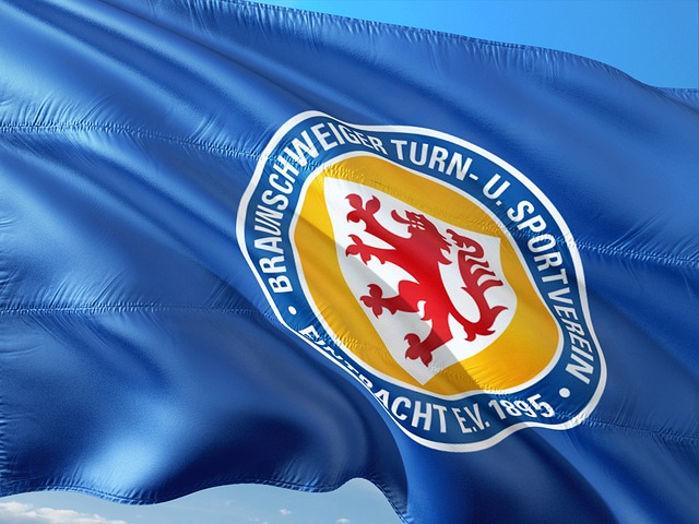 成功地逆转 成功地逆转