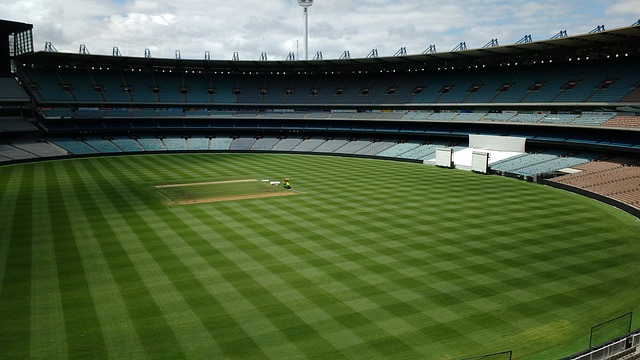 凭借其强大 凭借其强大