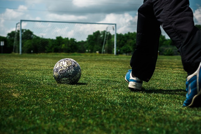 唤起了对藏 唤起了对藏